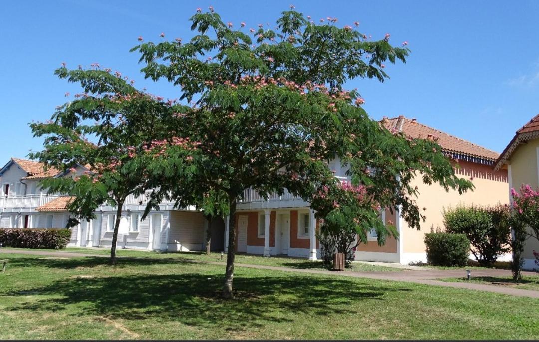 Appartement Au Calme Face Au Lac Marciac Exterior photo